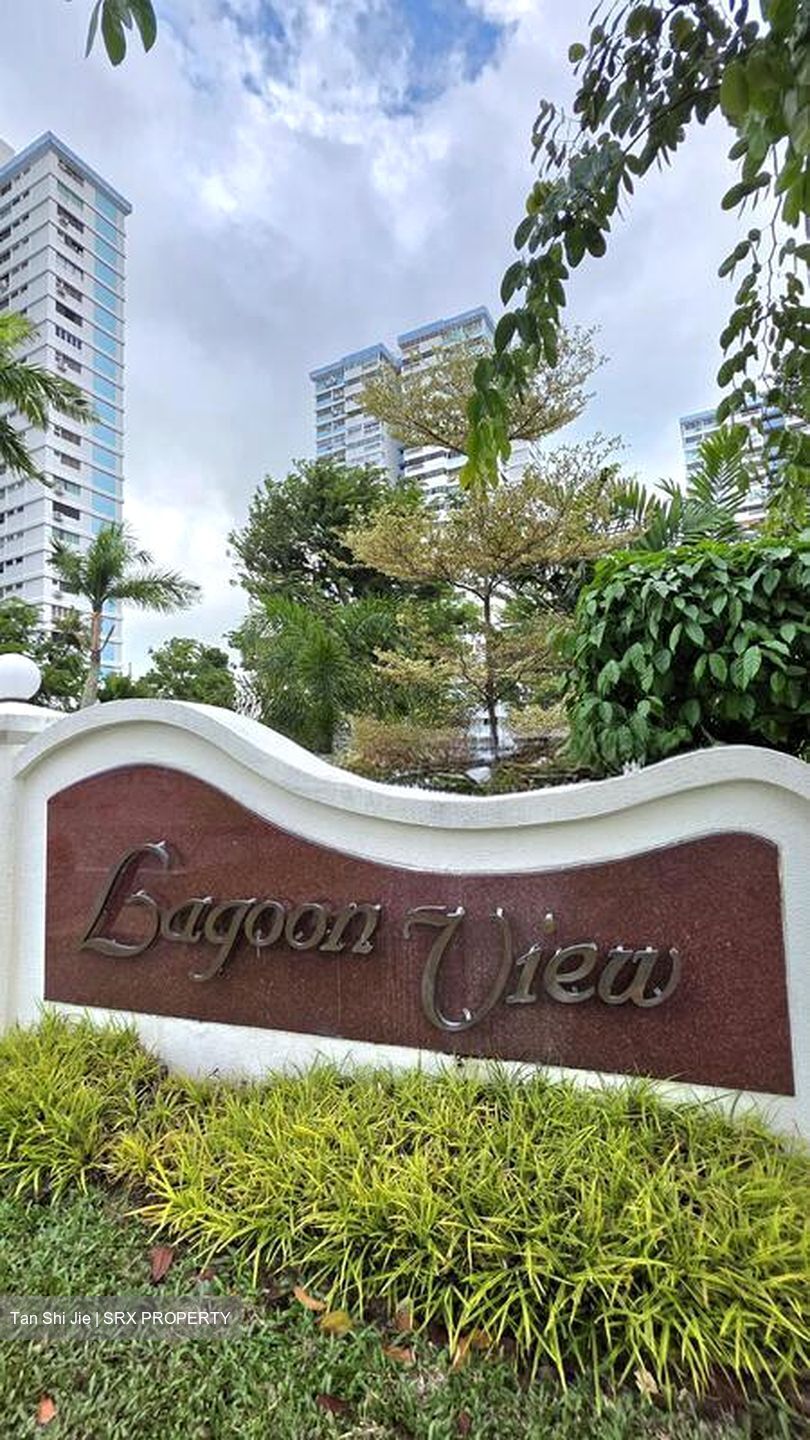 Lagoon View (D15), Apartment #517949331